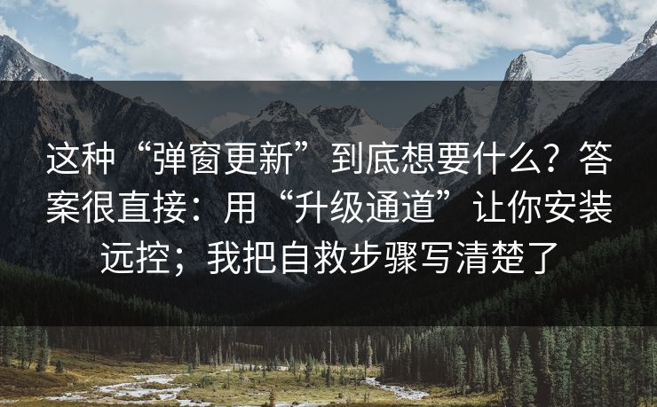 这种“弹窗更新”到底想要什么？答案很直接：用“升级通道”让你安装远控；我把自救步骤写清楚了