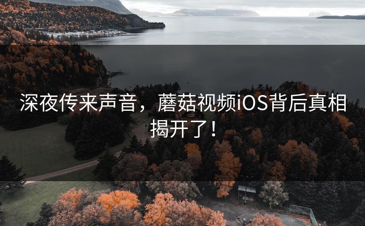 深夜传来声音，蘑菇视频iOS背后真相揭开了！