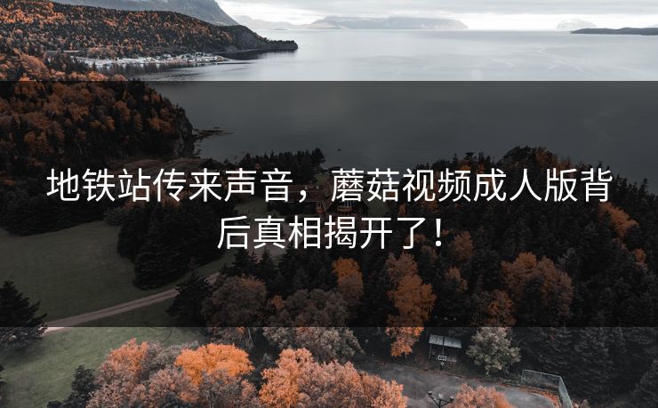 地铁站传来声音，蘑菇视频成人版背后真相揭开了！
