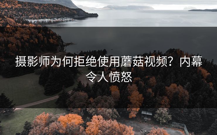 摄影师为何拒绝使用蘑菇视频？内幕令人愤怒