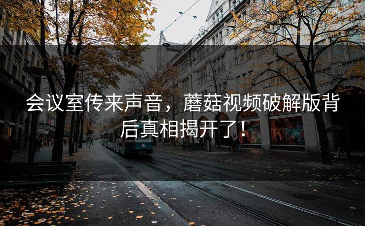 会议室传来声音，蘑菇视频破解版背后真相揭开了！