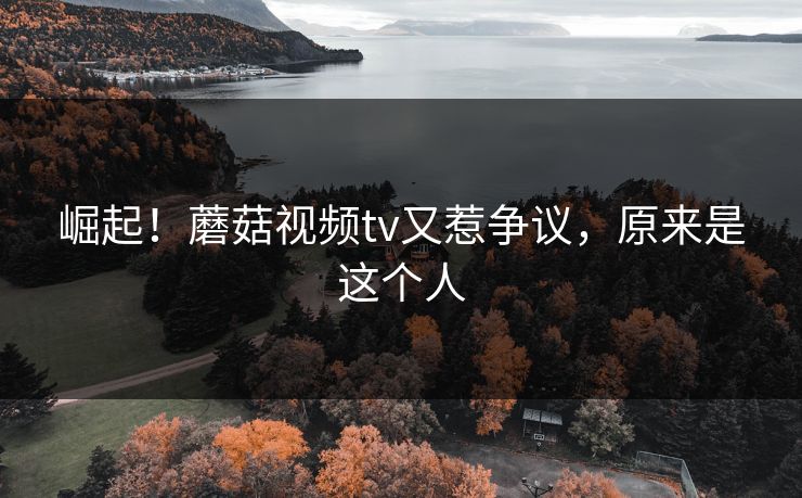 崛起！蘑菇视频tv又惹争议，原来是这个人