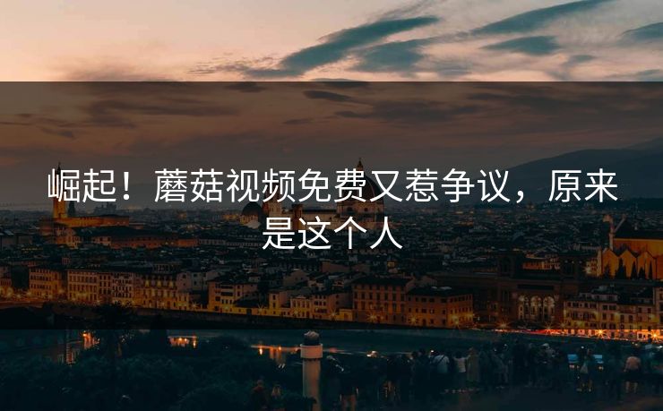 崛起！蘑菇视频免费又惹争议，原来是这个人