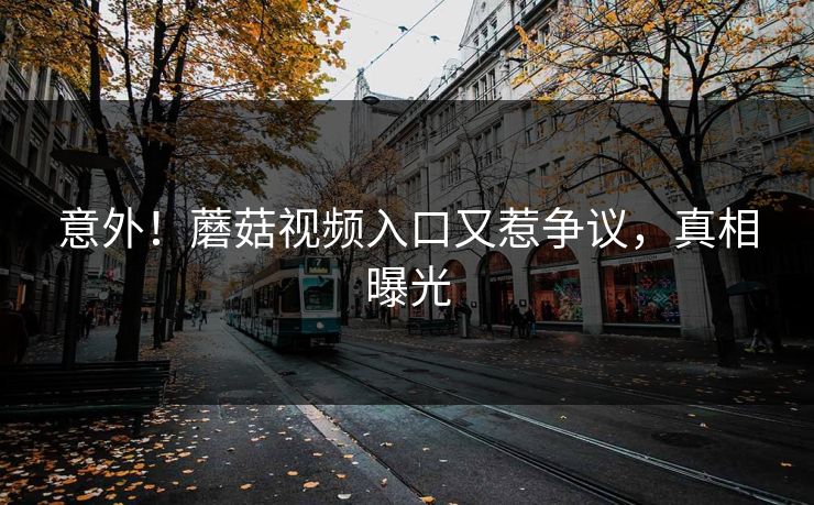 意外！蘑菇视频入口又惹争议，真相曝光