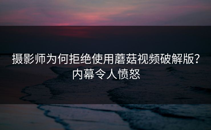 摄影师为何拒绝使用蘑菇视频破解版？内幕令人愤怒