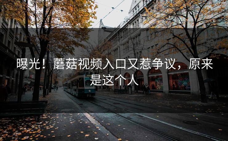曝光！蘑菇视频入口又惹争议，原来是这个人