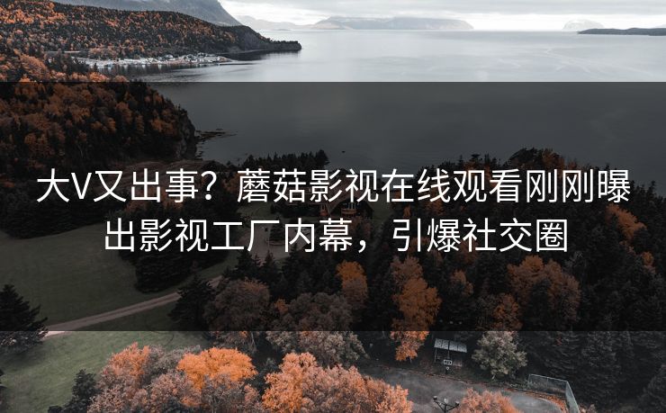 大V又出事？蘑菇影视在线观看刚刚曝出影视工厂内幕，引爆社交圈