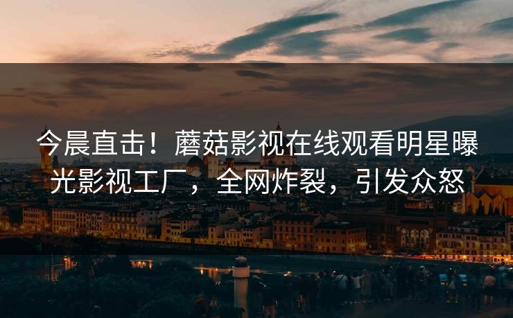 今晨直击！蘑菇影视在线观看明星曝光影视工厂，全网炸裂，引发众怒