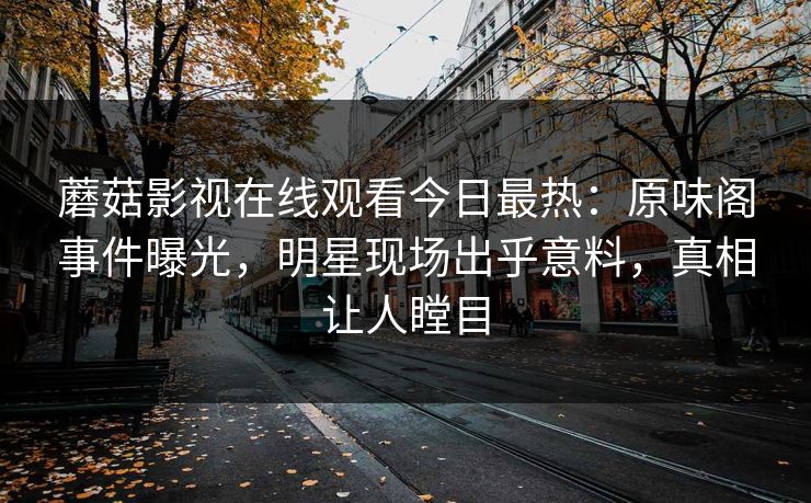 蘑菇影视在线观看今日最热：原味阁事件曝光，明星现场出乎意料，真相让人瞠目