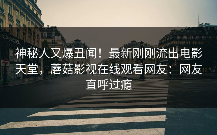 神秘人又爆丑闻！最新刚刚流出电影天堂，蘑菇影视在线观看网友：网友直呼过瘾