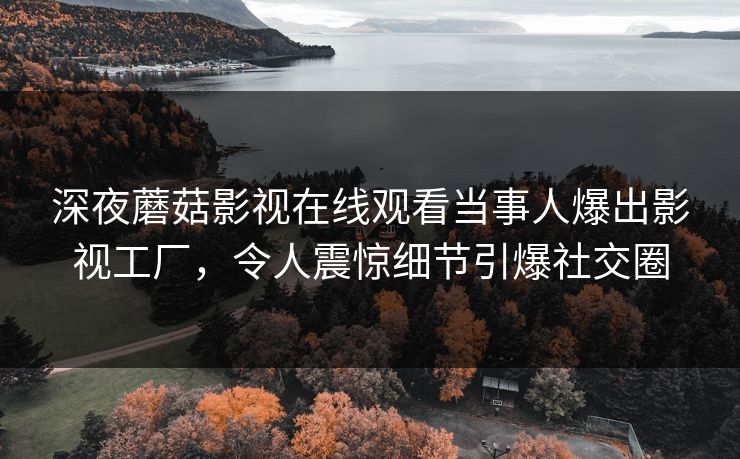 深夜蘑菇影视在线观看当事人爆出影视工厂，令人震惊细节引爆社交圈