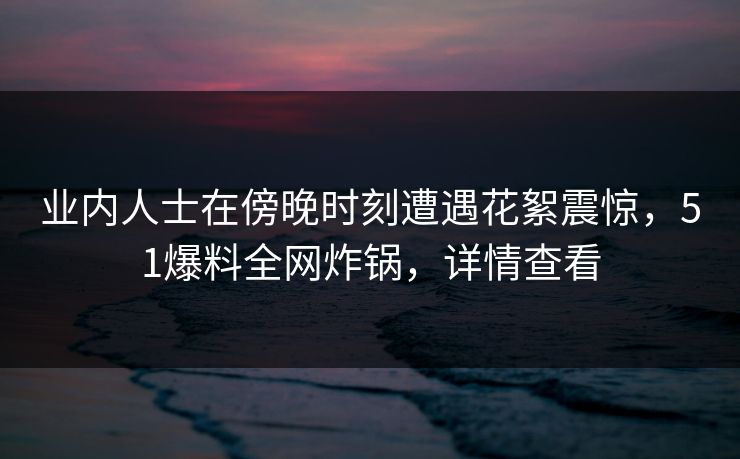 业内人士在傍晚时刻遭遇花絮震惊，51爆料全网炸锅，详情查看