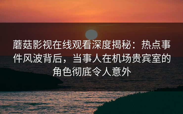 蘑菇影视在线观看深度揭秘：热点事件风波背后，当事人在机场贵宾室的角色彻底令人意外