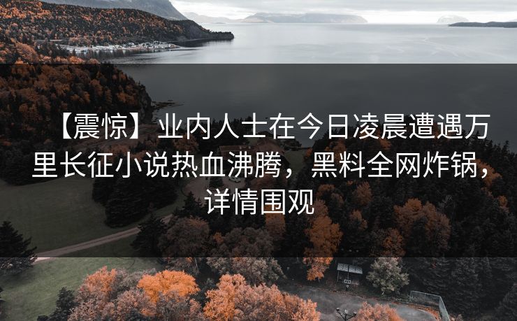 【震惊】业内人士在今日凌晨遭遇万里长征小说热血沸腾，黑料全网炸锅，详情围观