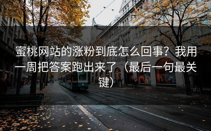 详细阅读:蜜桃网站的涨粉到底怎么回事?我用一周把答案跑出来了(最后一句最关键) 蜜桃网站的涨粉到底怎么回事?我用一周把答案跑出来了(最后一句最关键)